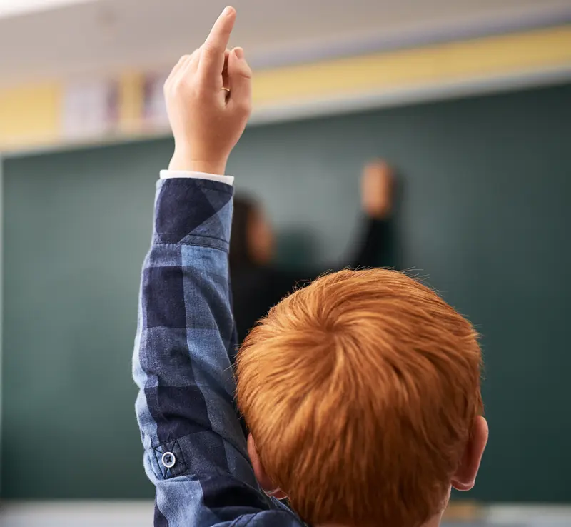 Elev ridicând mâna în clasă, văzut din spate
